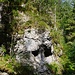 im Tal des Niederbachs