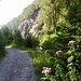 im Tal des Niederbachs