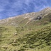 Bachwandkopf