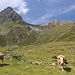 Vorgipfel des Rietzer Grieskogels von Südosten im Obertenn