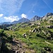 wir steigen den Felsen entgegen
