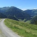 Ausholende Zufahrt zur Miesenbachalm