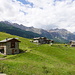 L'alpage de Piasci