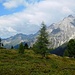 Blick vom Aufstiegsweg zur Riesenfernergruppe