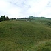 Greiwiesen