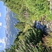 Sturzbach neben dem Höhenweg.
