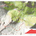 Traversata Val Merdarola-Valle dell'Oro: mappa.