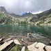 und schimmt einmal mehr in den kalten Wassern