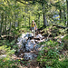 Froh sind wir über den schattenspendenden Wald am heutigen heißen Tag, auch auf 1100 m hat es noch 28 bis 30 Grad. 