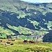 Blick ins Tal hinunter