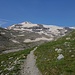 Wir gehen weiter auf dem Wanderweg der zum Refuge de l'Arpont führt. Dieser führt unter dem Schuttrücken links im Bild nach links aus dem Bild wieder hinaus. Im Aufstieg sind wir dem Wanderweg gefolgt und erst hinter dem Schuttrücken auf unmarkierten Wegspuren Richtung Dôme de Chasseforêt angestiegen. Im Abstieg sind wir die sichtbaren Schutt-/Wiesenhänge direkt zum Standpunkt abgestiegen. 