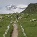 Auf der Geländeterasse, die uns nach dem Gegenaufstieg zu den Lacs de Laziers führt. Der Dôme de Chasseforêt will sich noch nicht ganz zeigen.