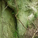 Waldweg bei Burg / Dettighofen. Die Glimmersandskulptur