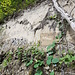 Sandsteintasche im Schotter