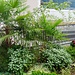 südliche Vegetation in St. Leonhard