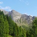 Hönigkamm