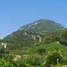 Rückblick hinauf