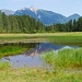 Wildmoossee