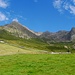 Almen bei der Hirzerhütte mit Hirzer