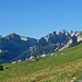 Alp Sigel vor einer schönen Bergkulisse