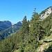 auf dem Wanderweg zur Alp "Obere Mans"