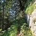 hier bin ich bereits am Anfang vom Jägersteig, der heutzutage wahrscheinlich nicht mehr so viel begangen wird, er ist nicht mehr allzugut zu finden, wer hier angelangt ist, ist aber auf dem richtigen Weg.