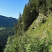 gleich am Anfang eine ausgesetzte Querung zum Wald hinüber