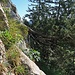 Rückblick zum Baumstamm von der anderen Seite aus