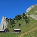 am Ende vom Jägersteig kommt man zur Alp Bogarten hinauf, siehe weit oben mein erstes Ziel der Marwees Ostgipfel