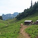Obere Mans, mein Aufstieg links den Wald hinauf, es ist kein Weg sichtbar, nur Kuhpfade die ins nichts führen, dieser Aufstieg ist zwar möglich, wird aber gegen oben unübersichtlich und ohne Wanderspuren. Ich musste zweimal wieder etwas zurücklaufen und einen anderen Weg einschlagen, weil ich im "Dickicht" nicht mehr weiter gekommen bin. Besser ist es auf der Westseite über die Wiese aufzusteigen.