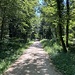 Etwas Schatten am Hungerberg.