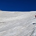 Unser Tazelwurm in der Klagemauer