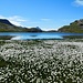 Grausee (2500 m)<br />Blick nach Süden