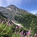 Aufsteig zur Hütte ab Berisal