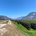 endlose Weiten: Etschtal-Radweg bei Auer