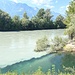 Kuriose Mündung des klaren Rio Lusina in die sedimentbeladene Etsch, Wer genau hinschaut, da steht ein Fisch