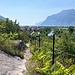 doch dann ebdlich das Blau des Gardasees voraus