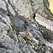 der Abfluss des Wasserfalls muss überquert werden