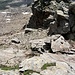 und Seile und Zeichen führen schnell in die Tiefe, verfolgen dabei aber nicht immer die bequemste Route