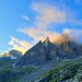 Feldschijen im Morgenlicht.