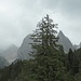 Arrivederci