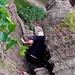 ...zum Waldboden hinuntersteigen.