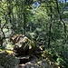 Es folgt die Schlüsselstelle im Abstieg.