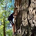 Das war's jetzt aber. So viele Bilder von so einem kleinen Felsen!