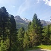der Weg führt immer unterhalb der Waldgrenze, die im Süden erst auf ca. 2200m ist.
