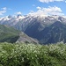 La Meije und das weite Gletscherplateau des Pic de la Grave