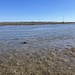 In der Telegraphenbajle (= Wattfahrwasser südflich von Wangerooge) hat sich ein Skpper trockenfallen lassen