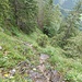 Im Sappensteig (Rückblick).