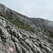 Weiterweg gen Göll, zunächst zum Grat hoch...