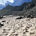 zu unserem Glück kam dann ein Schneefeld, was eine wahre Wohltat war